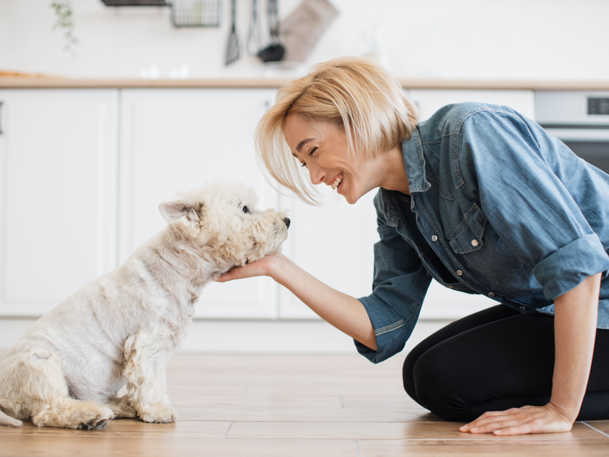 Designing a pet-friendly kitchen with replacement kitchen cupboard doors