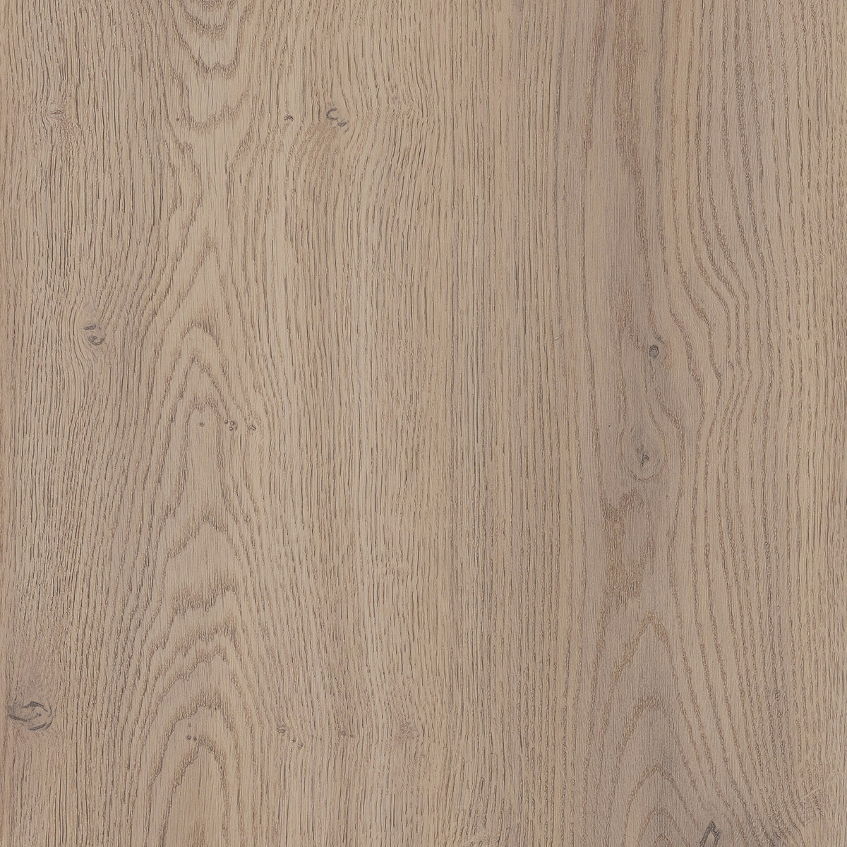 Bella - Cremona Oak Canollo