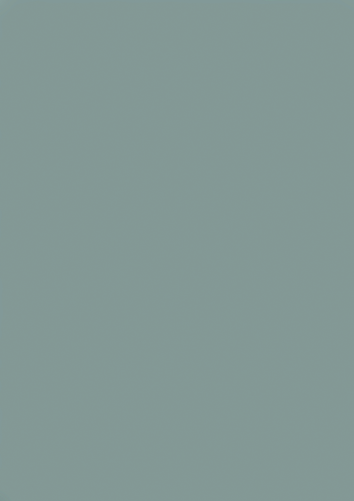 Zurfiz - Supermatt Dust Grey